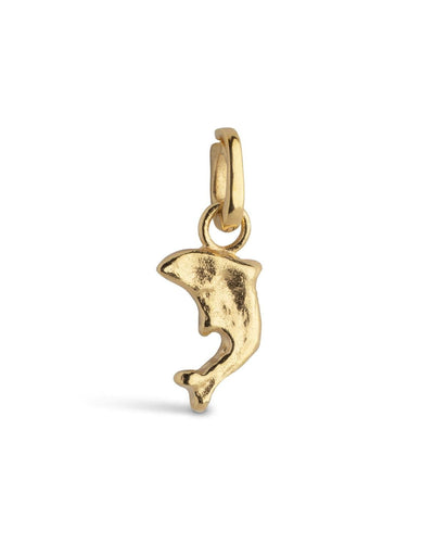 Charm, Joyful Dolphin