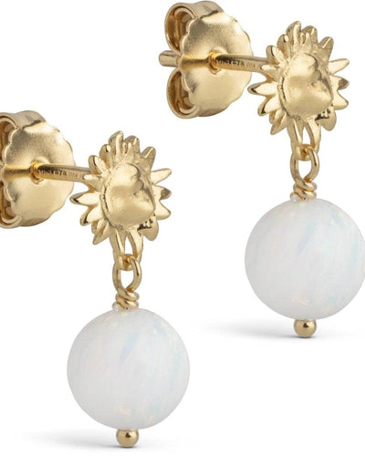 Earrings, Daystar Globe