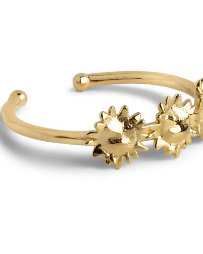 Ring, Sunshine Wreath