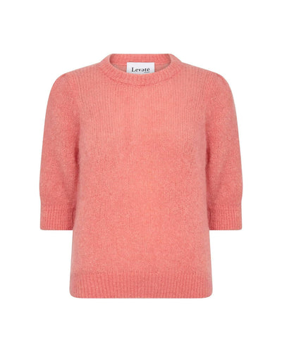 Noreen 2, Pink Seashell