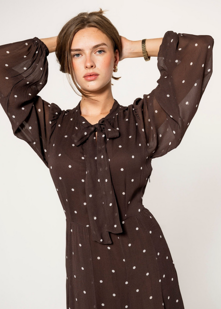 Daniella Dress, French Dot