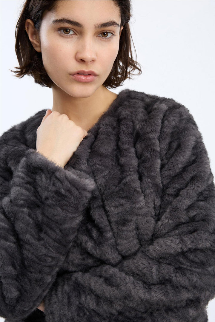 Vaina, Grey